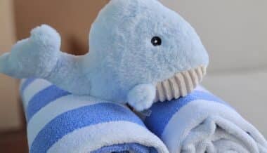 Nereo - cuddly whale